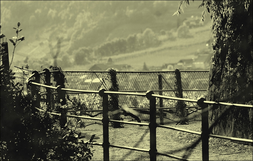 Tappeinerweg oberhalb Meran/Südtirol