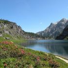 Tappenkarsee mit Almrausch