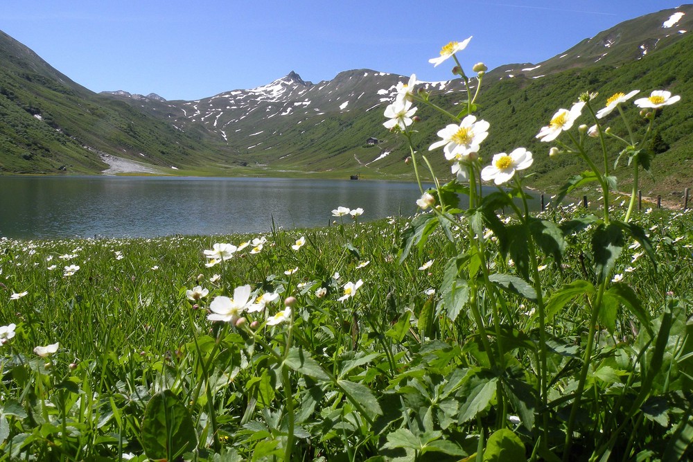 Tappenkarsee mit Schutzhütte