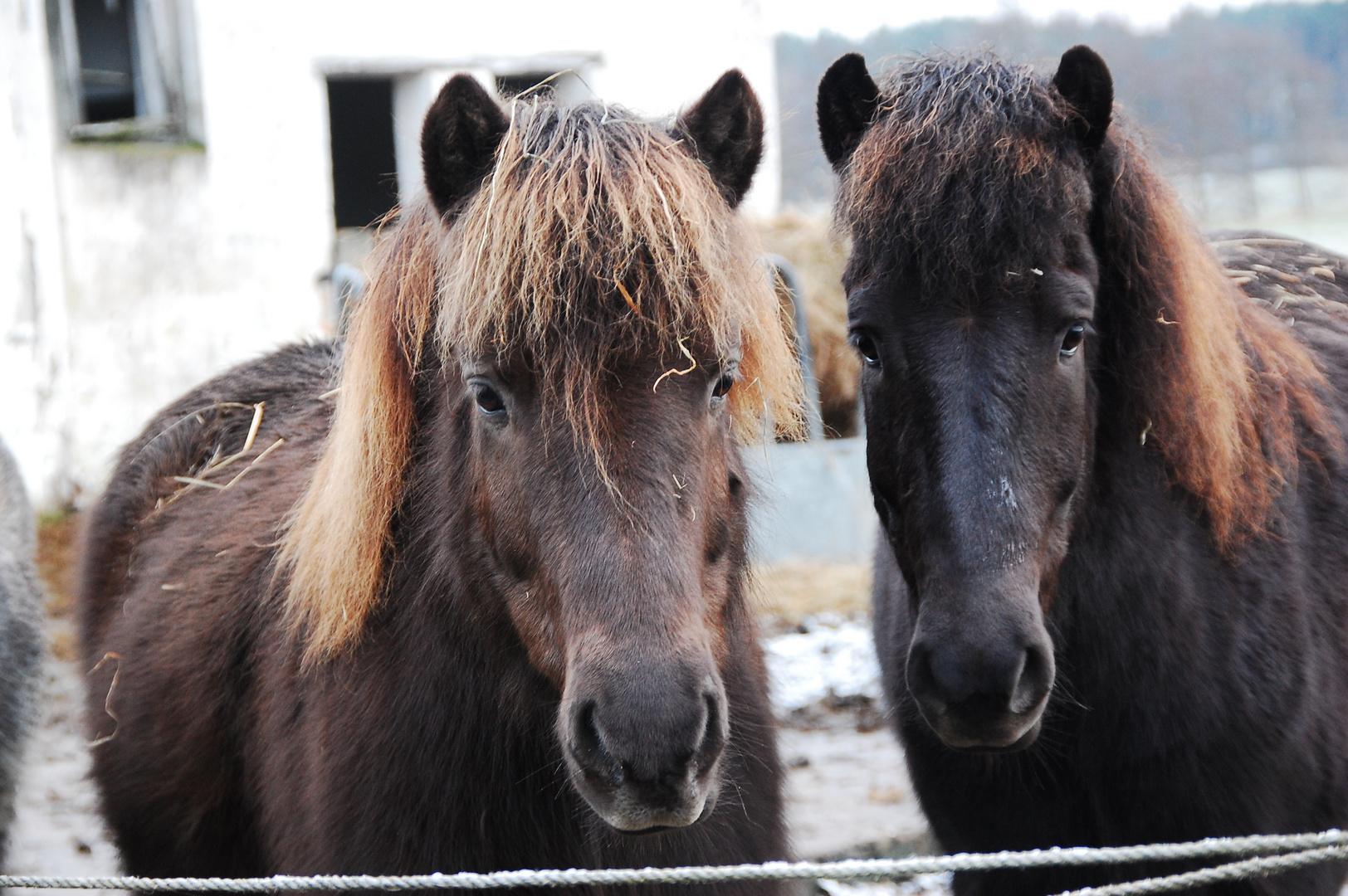 Tappi und Glennir 