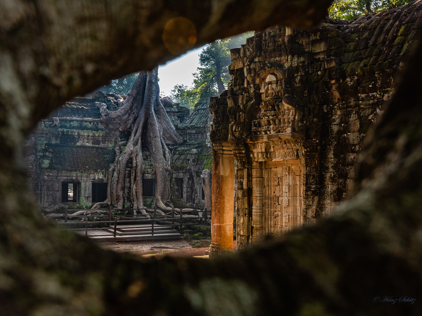 Ta_Prohm_KHM_5458