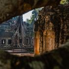 Ta_Prohm_KHM_5458