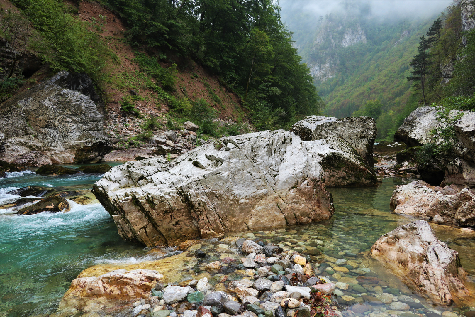 Tara Foto & Bild world, natur, landschaft Bilder auf