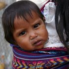 Tarahumara Indian Baby - Sierra Madre Mountains