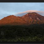 Taranaki