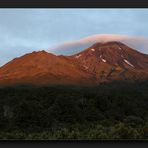 Taranaki