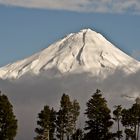 Taranaki, Glück gehabt!