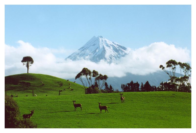 Taranaki (Mt. Egmont)