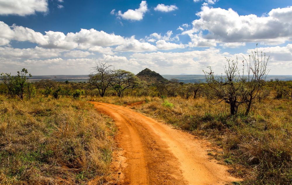 Tarangire Landschaft