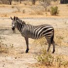 Tarangire-Nationalpark