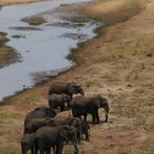 Tarangire NP