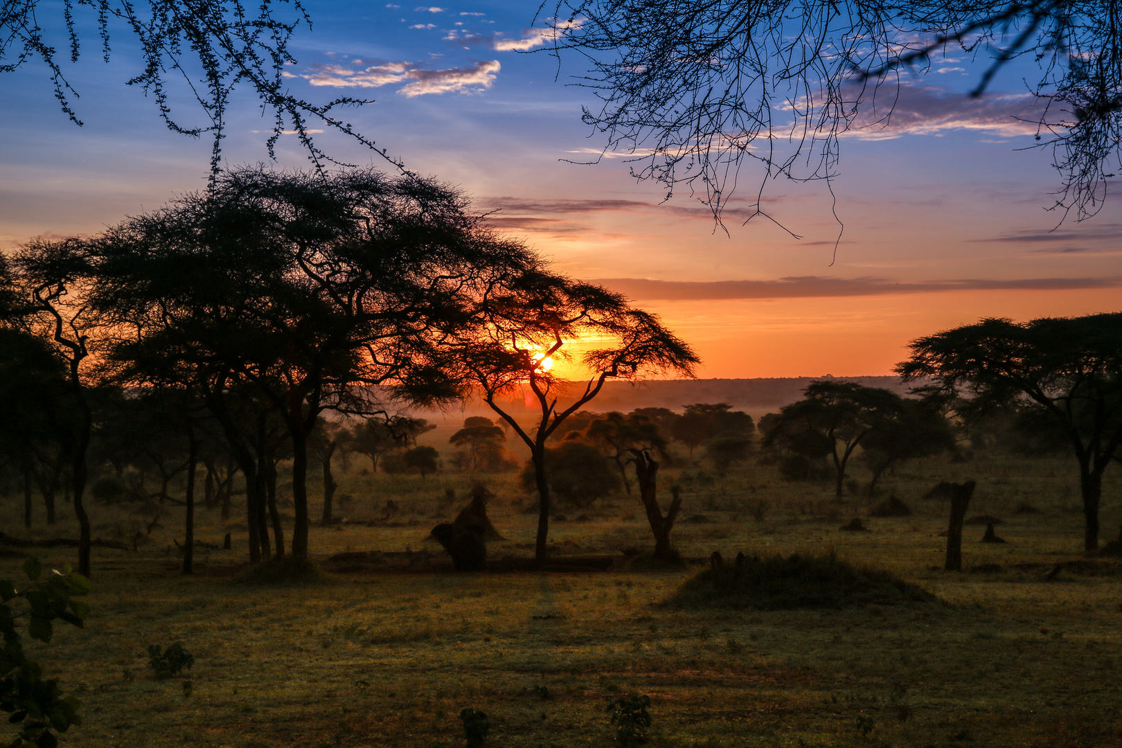 Tarangire Sonnenuntergang