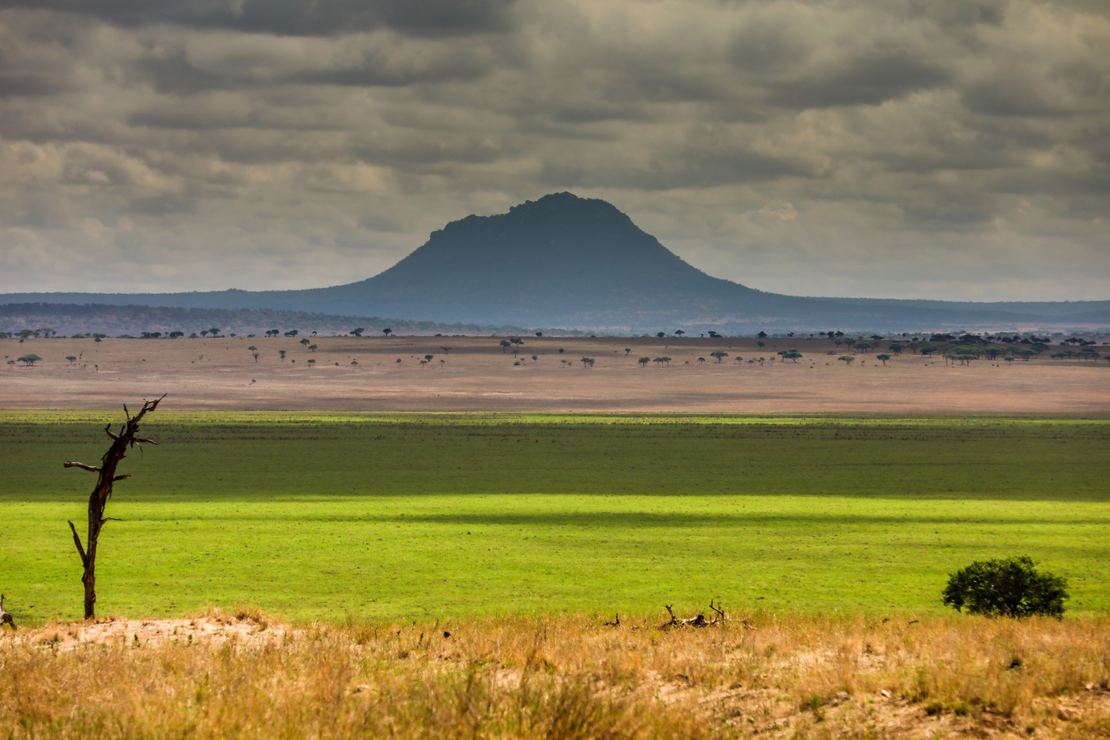 Tarangire Sumpf