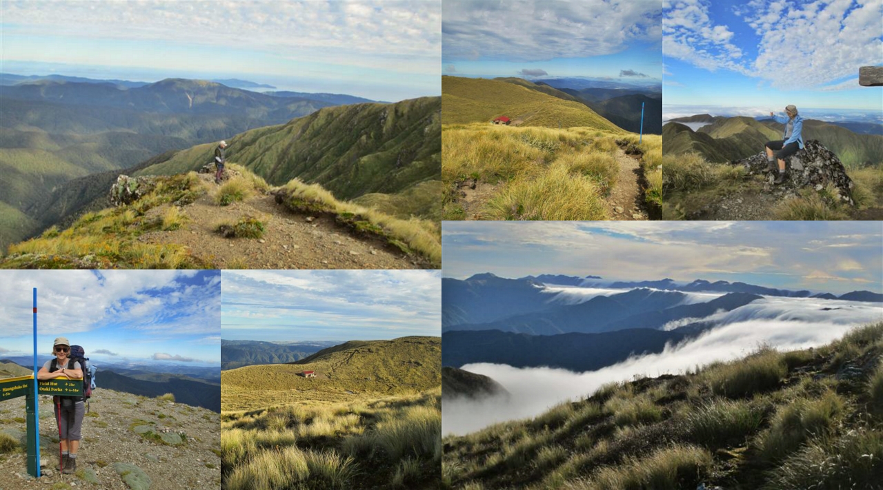 Tararua Mountains