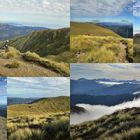 Tararua Mountains