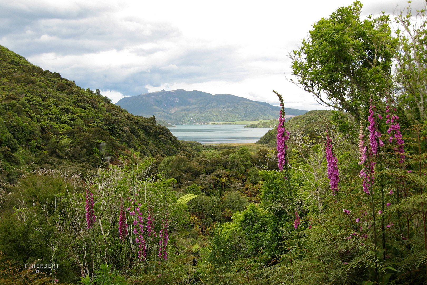 Tarawera Trail, Rotorua