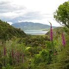 Tarawera Trail, Rotorua