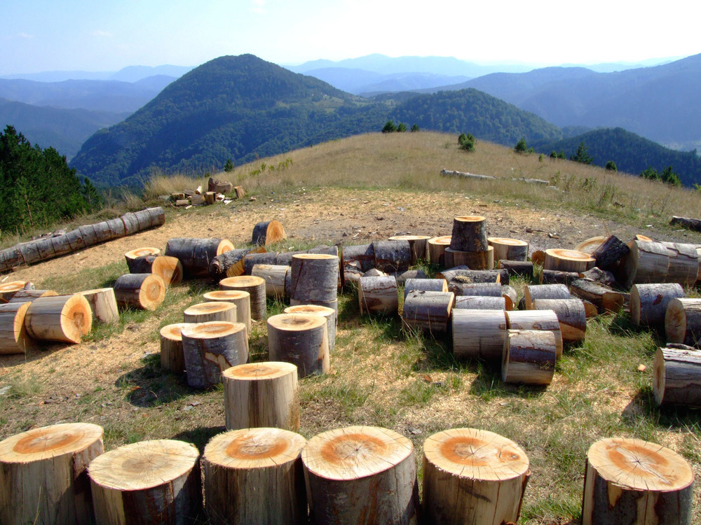 Tara&Zlatibor near Kusturica country town