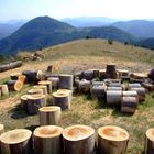 Tara&Zlatibor near Kusturica country town