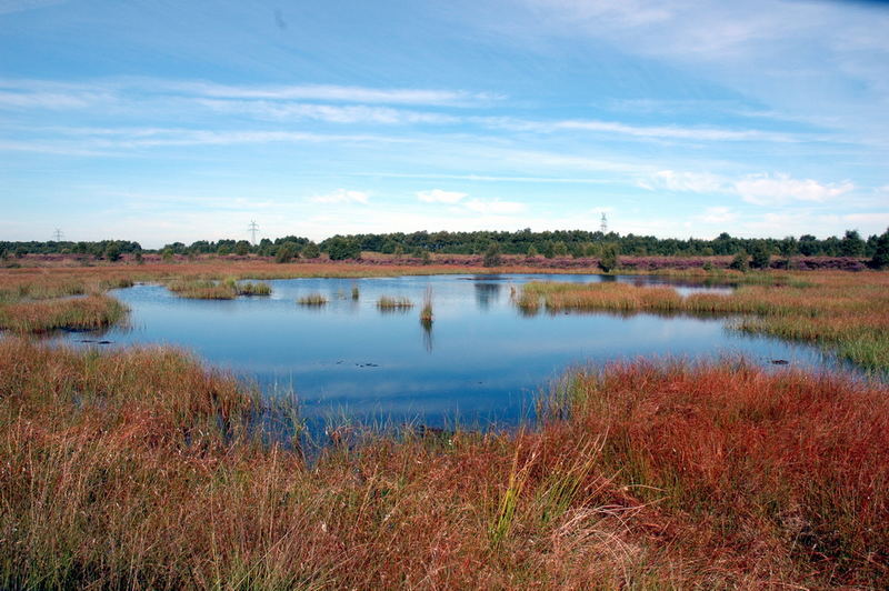 Tarbarger Moor