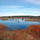 Tarbarger Moor