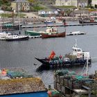 Tarbert - Hafen