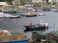 Tarbert - Hafen