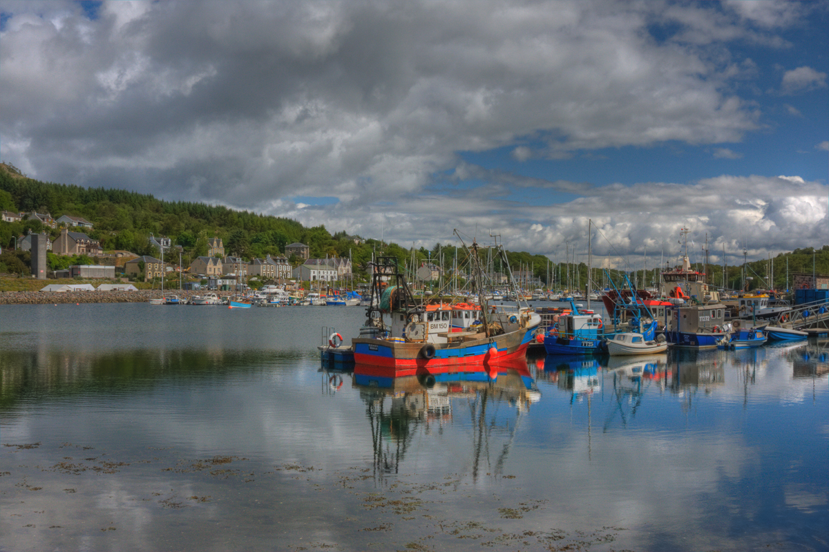 Tarbert harbour