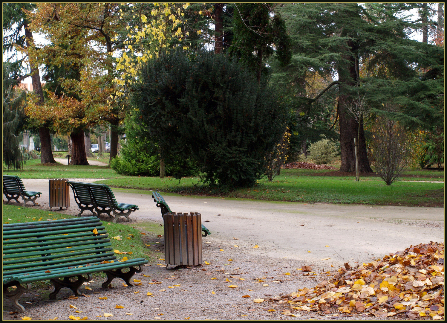 Tarbes - Le jardin Massey a pris ses quartiers d’hiver