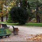 Tarbes - Le jardin Massey a pris ses quartiers d’hiver