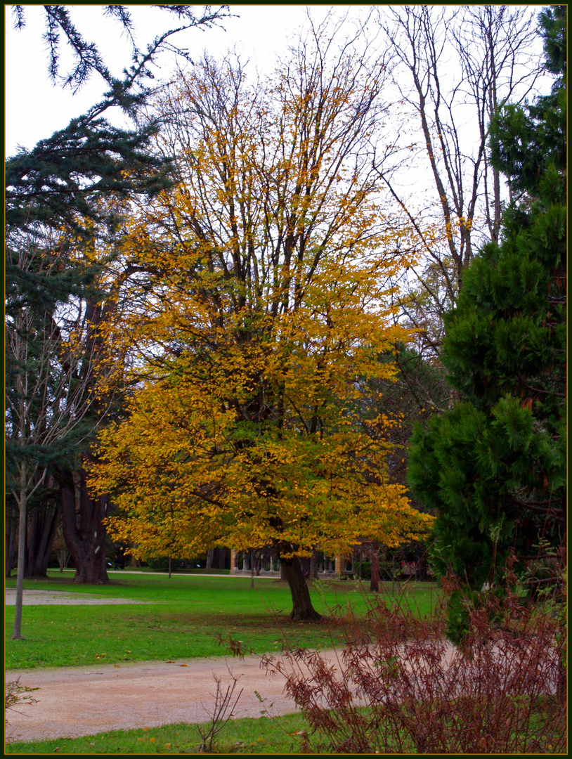 Tarbes : le jardin Massey en début d’hiver 1 - Tarbes : der Garten «Massey» am Anfang des Winters 1