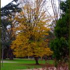 Tarbes : le jardin Massey en début d’hiver 1 - Tarbes : der Garten «Massey» am Anfang des Winters 1