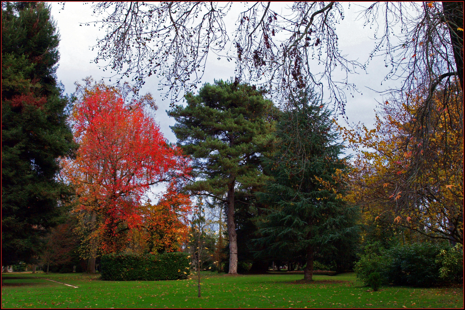 Tarbes : le jardin Massey en début d’hiver 2 - Tarbes : der Garten « Massey »am Anfang des Winters