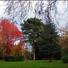 Tarbes : le jardin Massey en début d’hiver 2 - Tarbes : der Garten « Massey »am Anfang des Winters