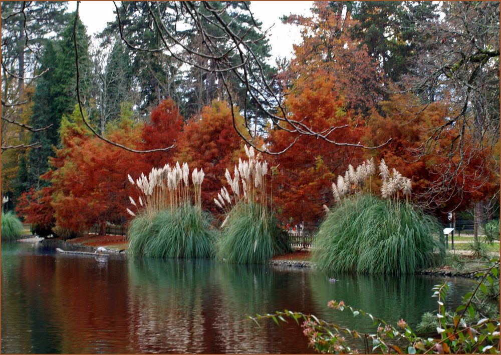 Tarbes : le jardin Massey en début d’hiver 3 - Tarbes : der Massey Garten am Anfang des Winters 3