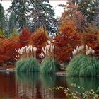 Tarbes : le jardin Massey en début d’hiver 3 - Tarbes : der Massey Garten am Anfang des Winters 3