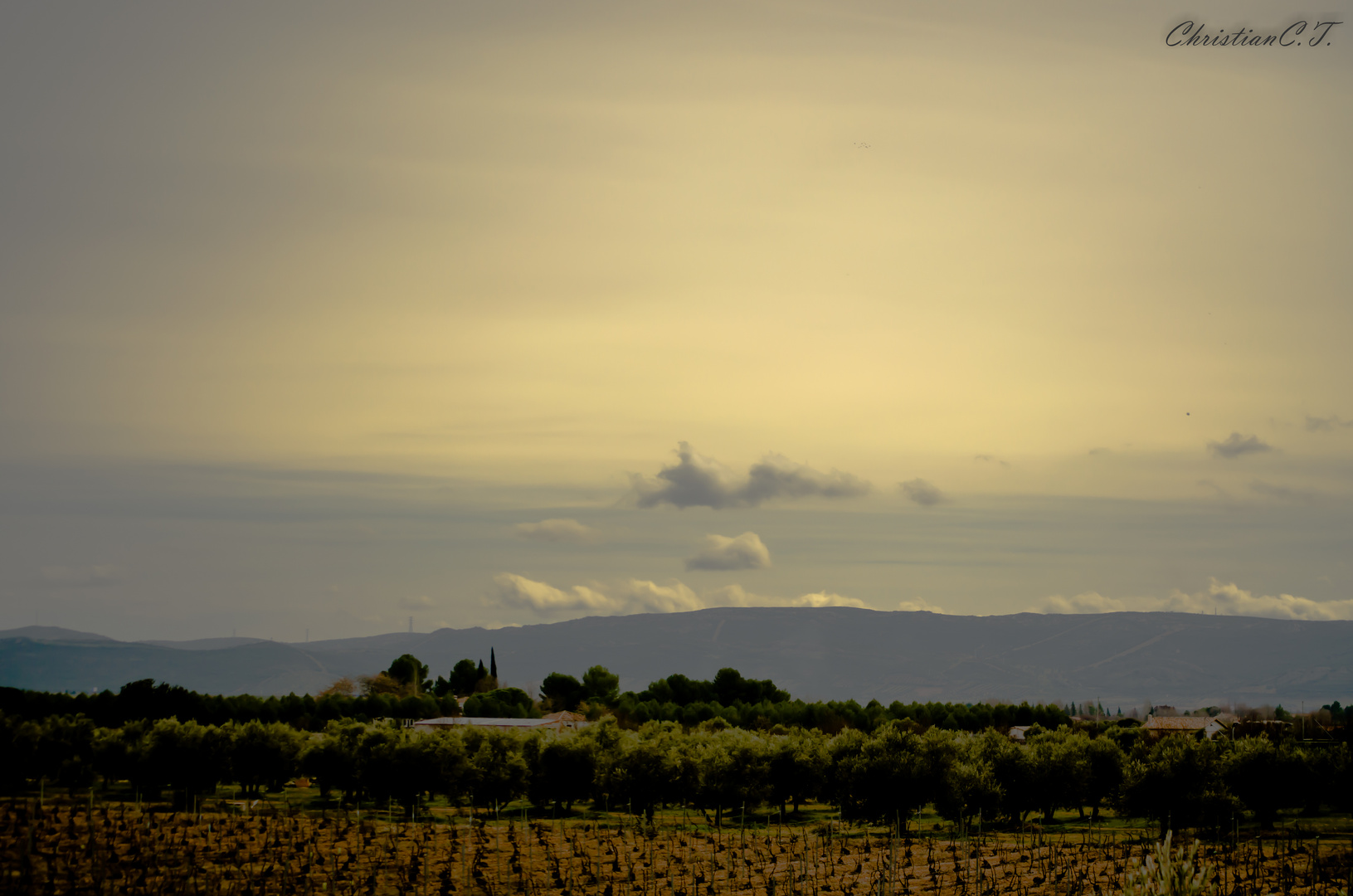 Tarde de Invierno Nublada