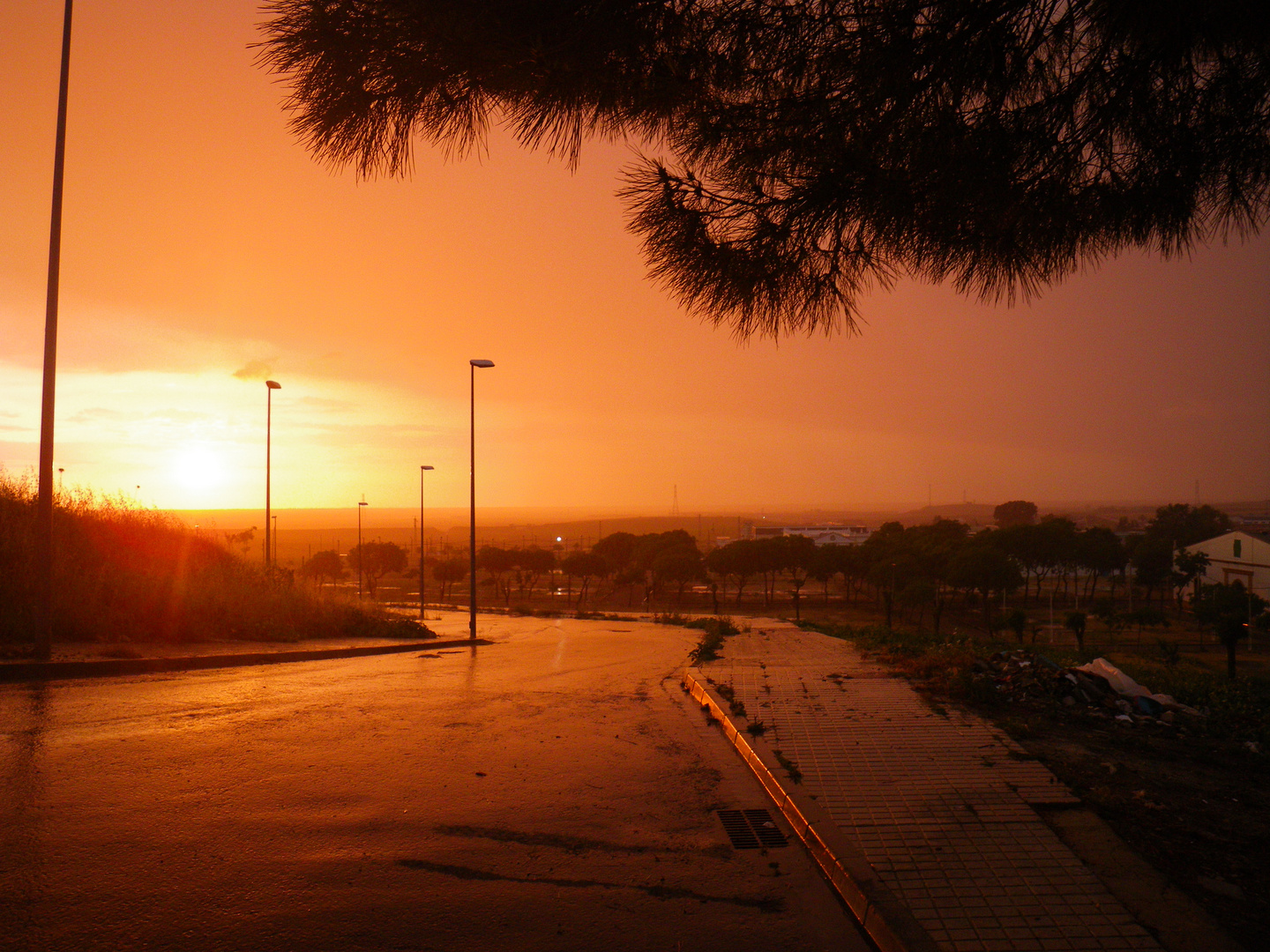 tarde de lluvia