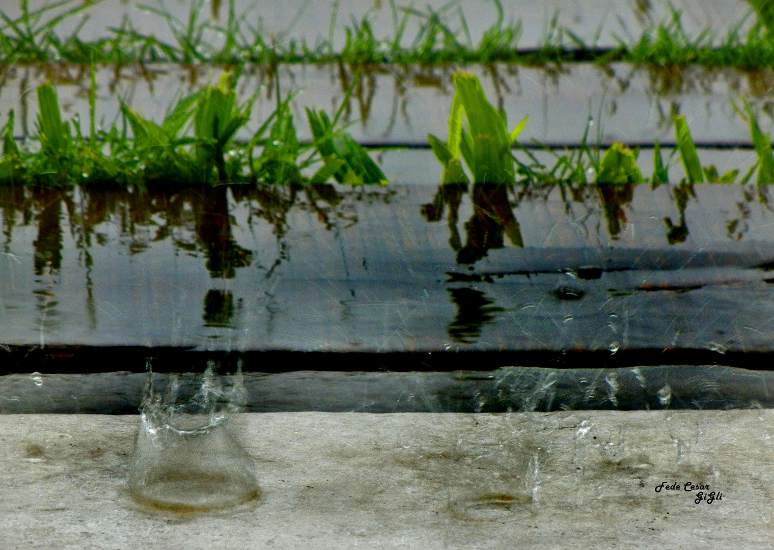 Tarde de lluvia