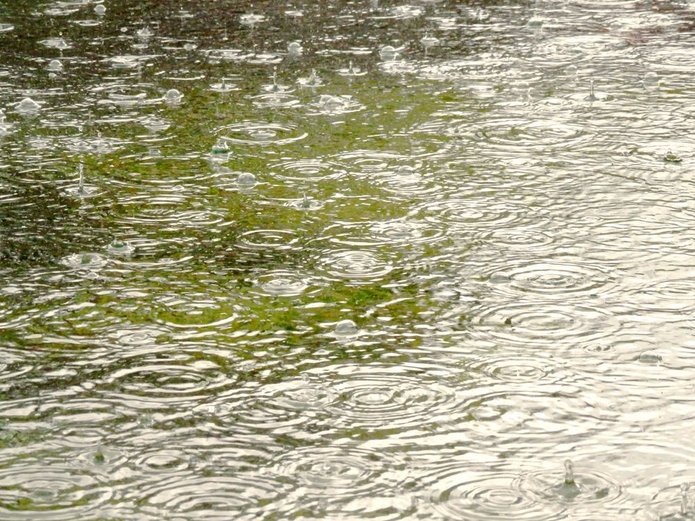 Tarde de lluvia