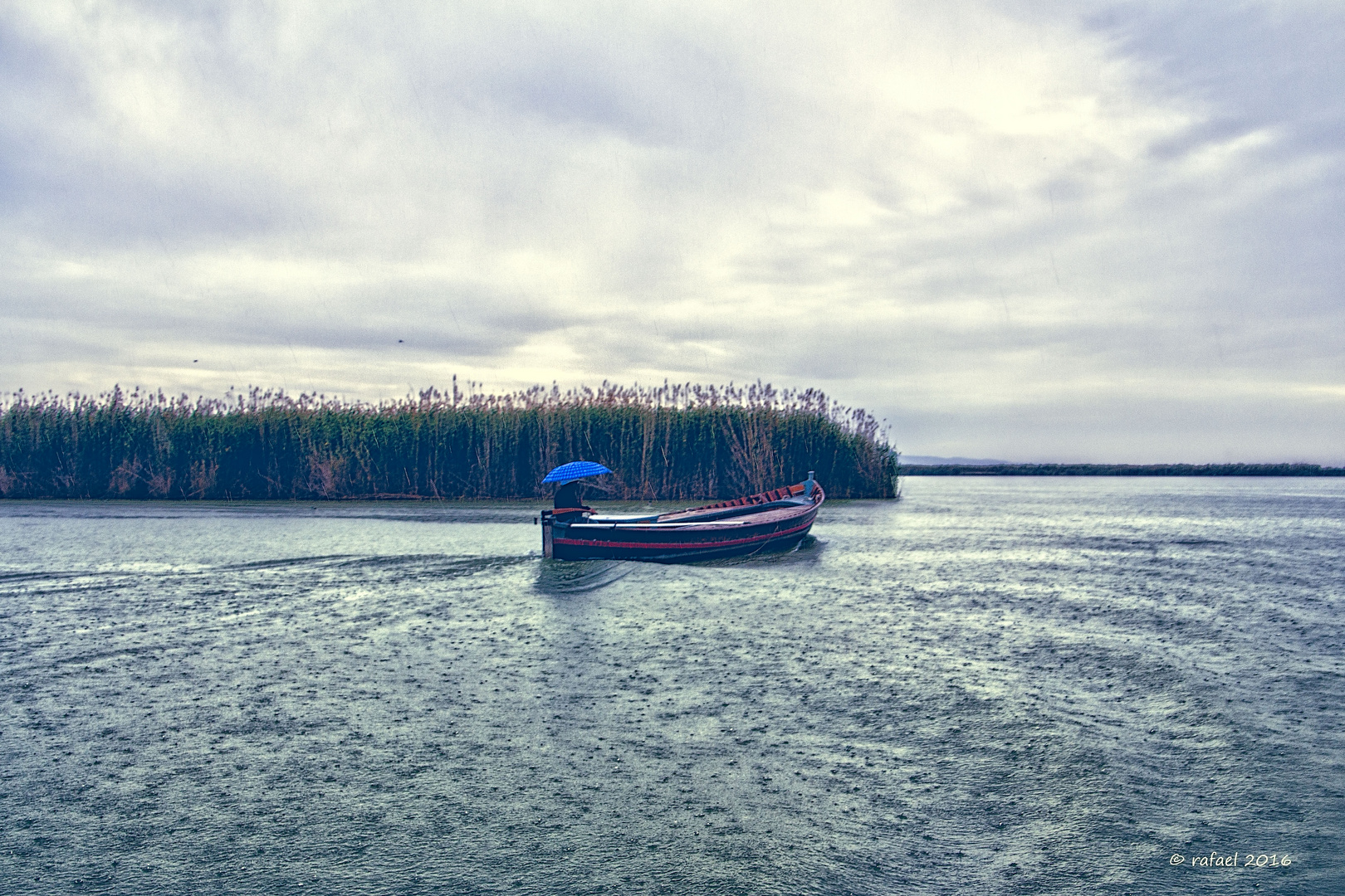 Tarde de lluvia en La Albufera