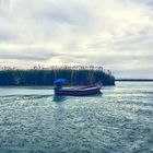 Tarde de lluvia en La Albufera