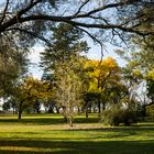 Tarde de otoño