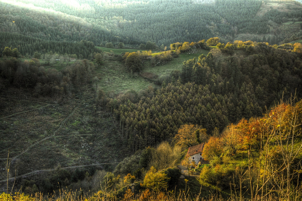 tarde de otoño