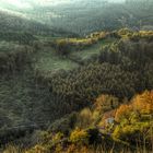 tarde de otoño