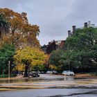 TARDE DE OTOÑO con lluvia ...