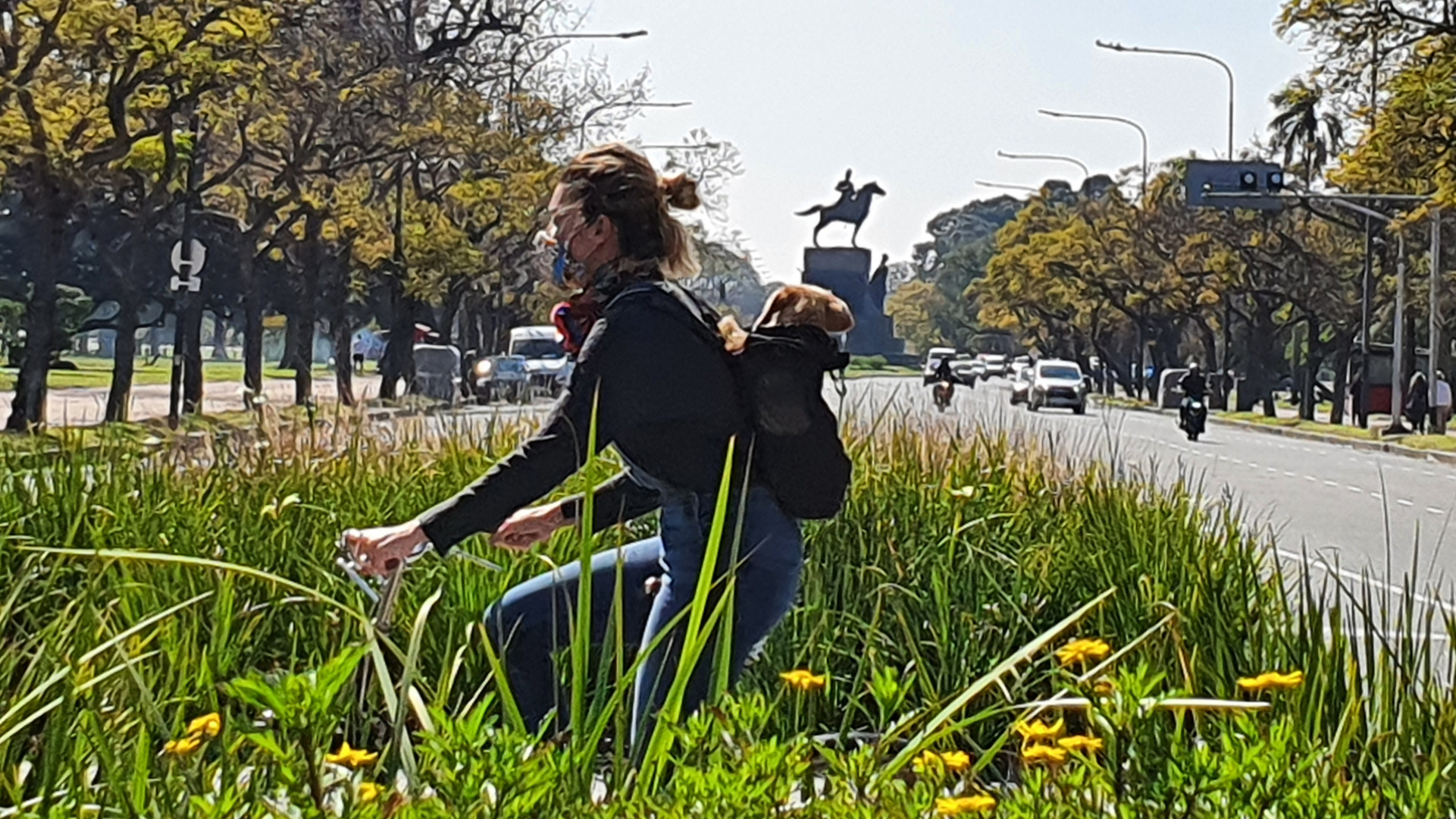 TARDE DE PASEO CON MI MASCOTA....