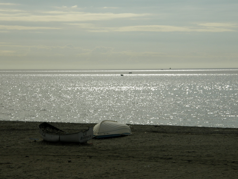 tarde de pesca