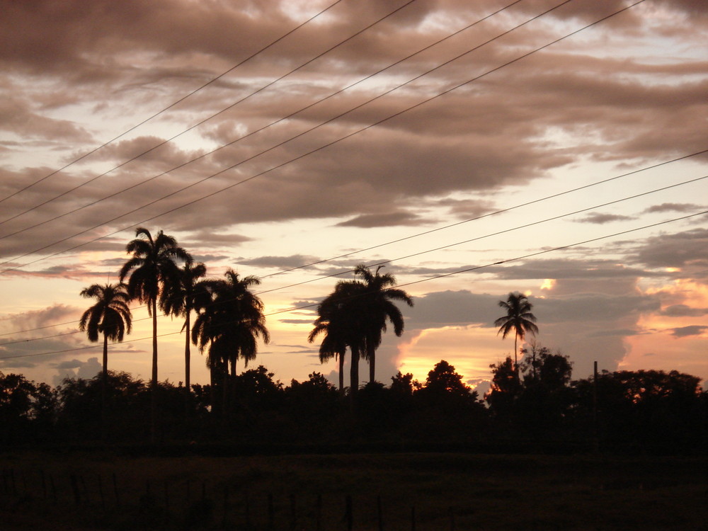 Tarde de Tormenta