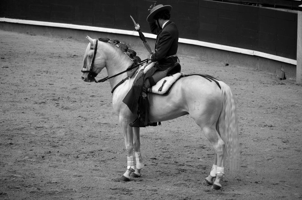 Tarde de Toros 1